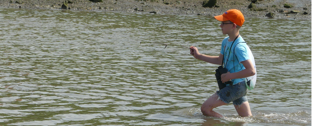 garnalenvissen_header.png garnalenvissen_header.png