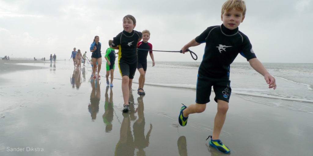 garnalen_foto1.png garnalen_foto1.png