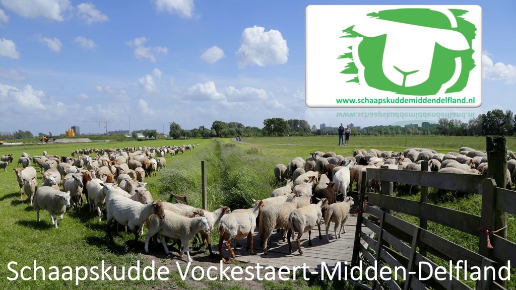 Logo Foto 2020 Logo Foto 2020