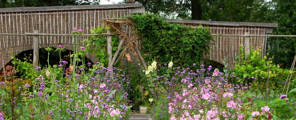 educatieve-tuin-de-enk_header.png educatieve-tuin-de-enk_header.png