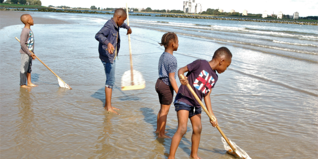 garnalen_2.png garnalen_2.png