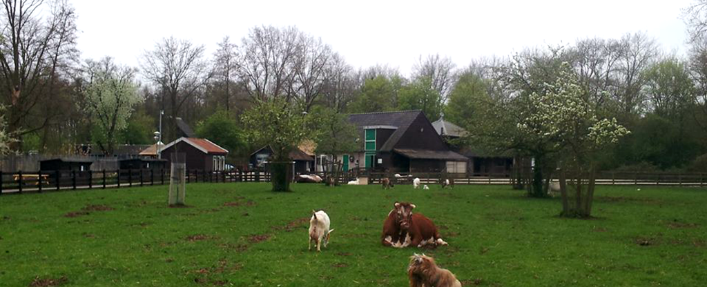 kinderboerderij-de-kooi_header.png